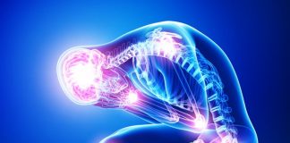 MSM oder Glucosamin – Was HILFT Deinen GELENKEN besser?