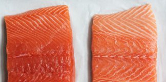 Warum der Lachs aus dem Supermarkt nicht gleich echter Lachs ist!