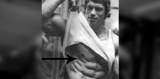 Die perfekte Übung für den seitlichen Sixpack Sixpack Bauchmuskeln Waschbrettbauch Training Übung