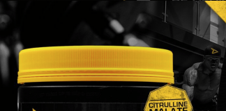 nur noch HEUTE: DEDICATED’s BOOSTER Neuheit „UNBEATABLE“ im SALE bei BODY&FIT!