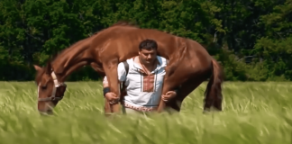 Pferd statt Langhantel: Strongman mal anders! Strongman Dmitriy Khaladzhi