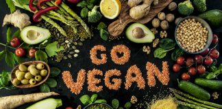 Make Vegan great again! vegan, vebu, peta, vegane, veganer