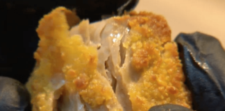 Konsistenz, Geschmack & FASERVERLAUF wie FLEISCH! – ist M!DORI NATURAL MÖGLICH?