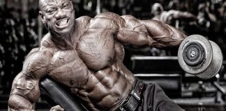 Lyle McDonald: 2 on/2 off Trainingszyklus für Massezuwächse Lyle McDonald Trainingszyklus