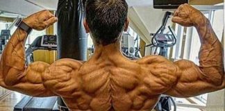 alle INFORMATIONEN zum Testosteron Derivat FLUOXYMESTERON (Halotestin)!