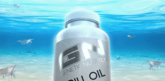 NEXT Level Omega 3 Supplement? – GN Laboratories setzt mit Krill Öl einen neuen Standard!