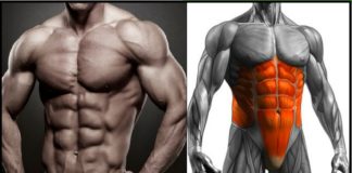 DAS musst Du TUN, um einen sichtbaren SIXPACK zu bekommen!