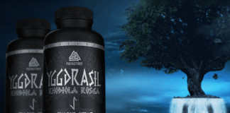 Pflanzenkraft: DIESE Vorteile hat die Einnahme von Rhodiola Rosea!