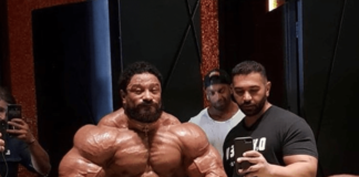 zwischen SCHOCK & STAUNEN: die aktuellen Form Updates von ROELLY WINKLAAR!