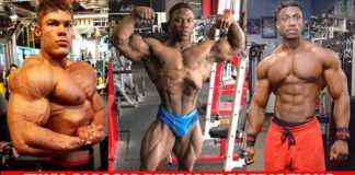 SO könnten die Arnold Classics in der Classic Physique ausgehen!