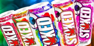 Macher von BANG Energy Drink bringen ersten CBD Drink auf den Markt!